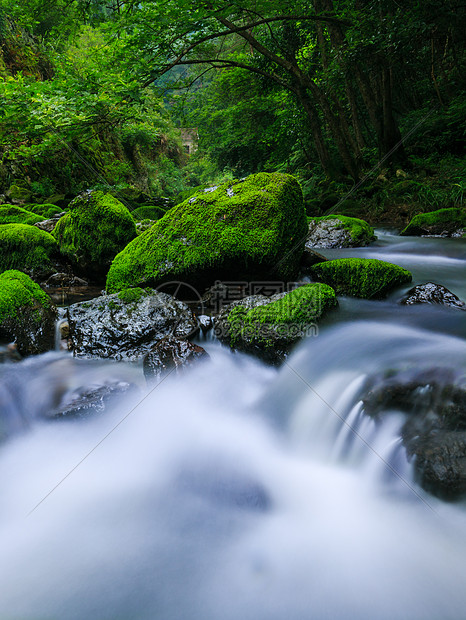 山谷里的青苔溪水