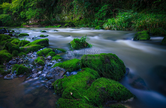 宁静的小溪与绿色青苔图片