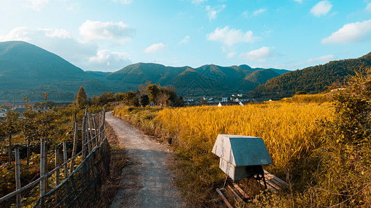 浙江小村庄夕阳下的农田背景图片