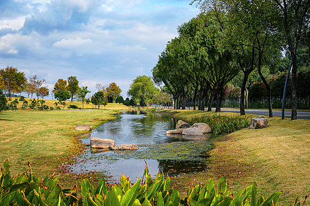辰山植物园3号门路边的风景背景图片