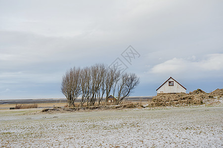 冰岛旷野小房子和树图片