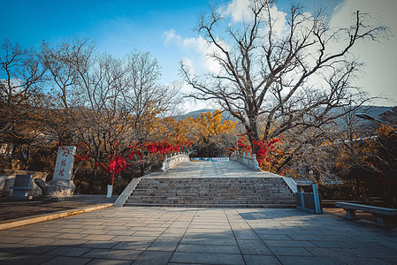 江苏花果山秋色高清图片