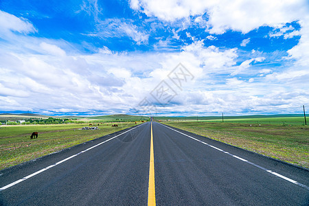 呼伦贝尔草原公路背景图片