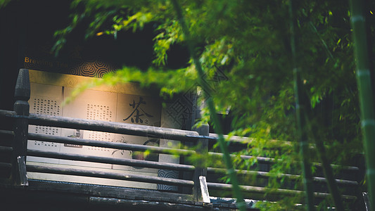 院队大唐贡茶院竹林美景背景