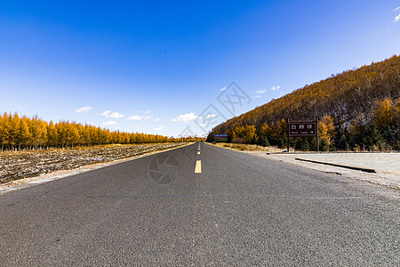 汽车 落叶公路汽车背景宽广马路背景