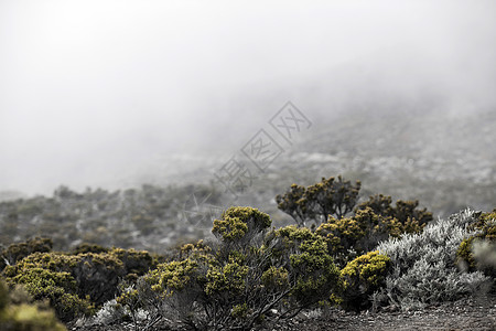 火山灰地带风景图片