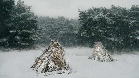 抚顺萨尔浒景区冬季下雪天美景背景图片