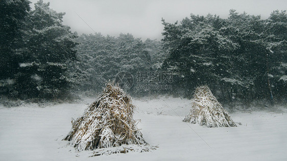 抚顺萨尔浒景区冬季下雪天美景图片