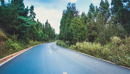 道路背景素材森林里的公路背景