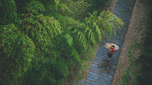 中国风人物竹林中国风小女孩背景