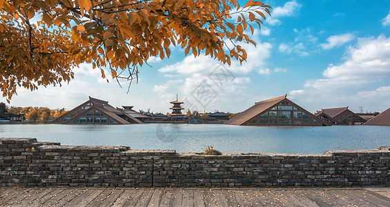 树叶和水面上海广富林文化遗址背景