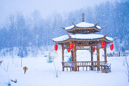 中国雪乡红灯笼东北雪乡雪中亭子背景