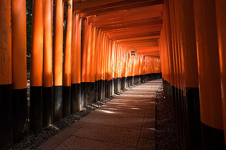 日本千本鸟居背景图片