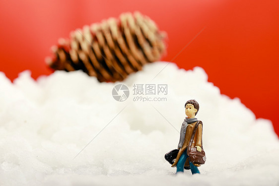 圣诞装置雪地里小人和大松果图片