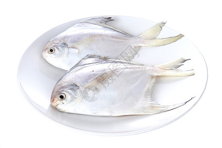 美食盘子里鱼生鲜鲳鱼白底图背景