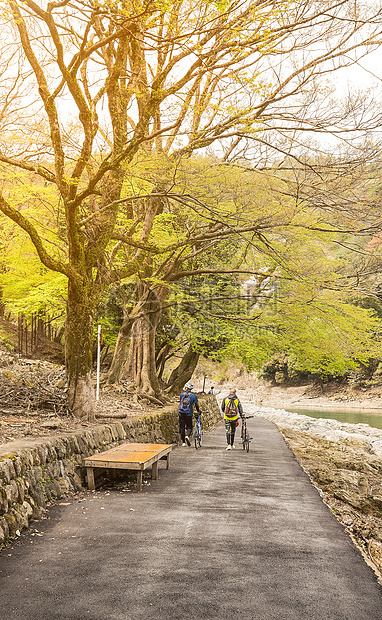 岚山森林小道图片