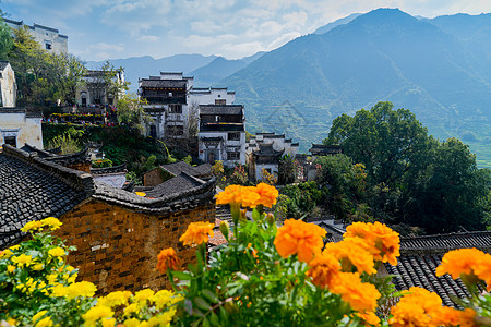 婺源古镇江西婺源篁岭晒秋风光背景