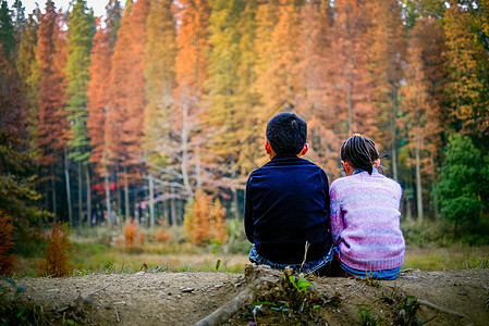 深秋美丽灿烂的杉树下的孩子图片