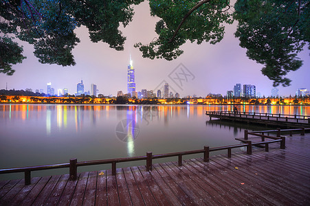 树夜景南京玄武湖背景