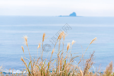 韩国济州岛秋季海边风光高清图片