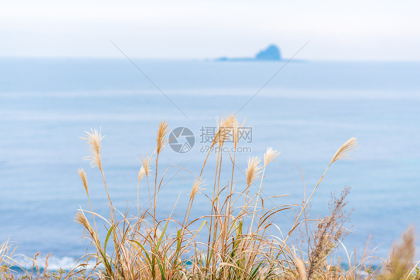 韩国济州岛秋季海边风光图片