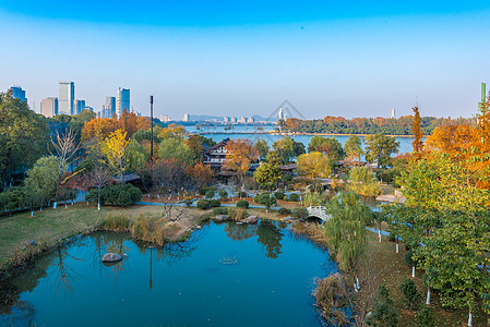 江苏南京玄武湖秋色迷人背景图片