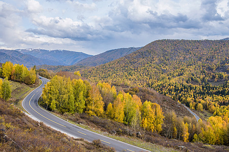 禾木公路北疆深秋美景背景