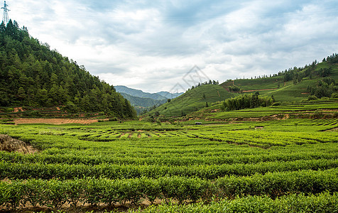 武夷山风光背景图片