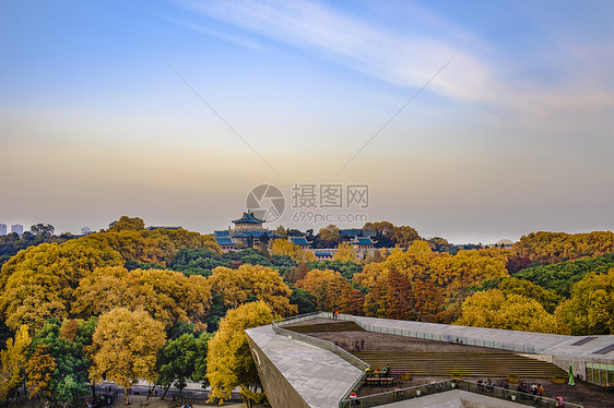 秋天的武汉大学图片