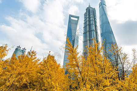 秋天的上海陆家嘴建筑高清图片
