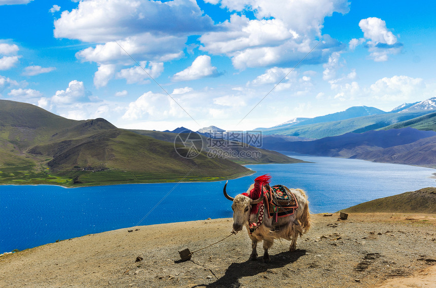 西藏西藏 天堂以上图片