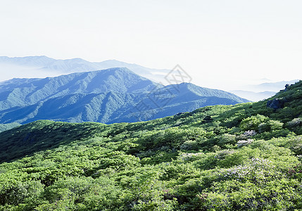 山顶风光图片