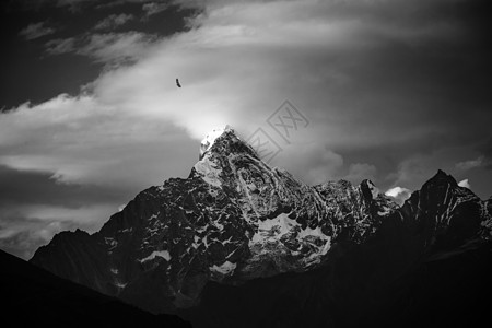 寂寥冬季雪山上飞翔的老鹰背景图片