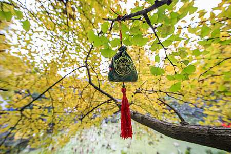 新年祈福许愿图片