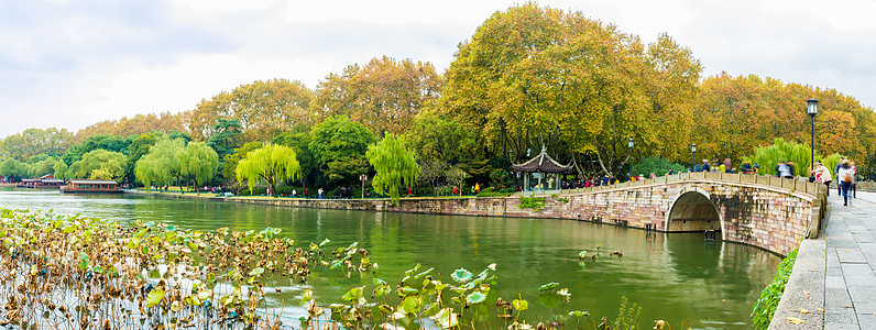 西湖秋色杭州西湖西泠桥风光背景