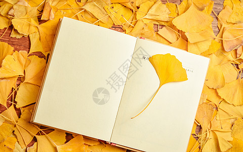 秋季枫叶银杏叶与日记本背景