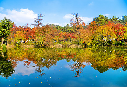 秋分海报苏州天平山秋色背景