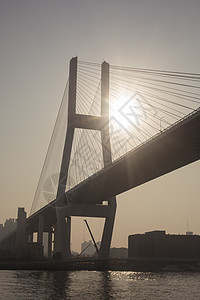 上海景点南浦大桥图片