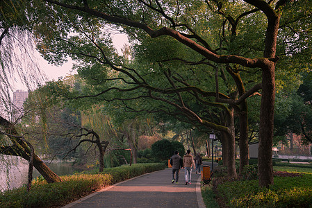 大景公园一景背景