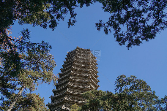 冬日北大的博雅塔图片