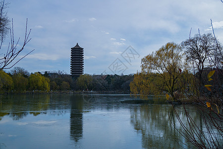 未名湖校园初冬的北大未名湖湖畔背景