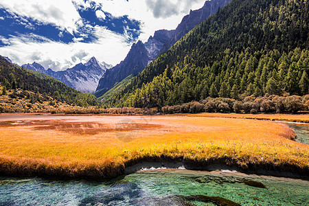 冲古草甸园亚丁风光背景