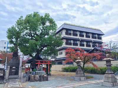 大叶子日本秋天一瞥背景