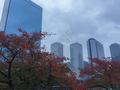 秋天大阪的街景图片