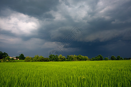 暴雨来临风起云涌背景