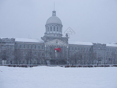 冬季暴风雪中的蒙特利尔一景图片