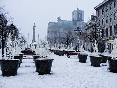 国外雪后装饰背景图片