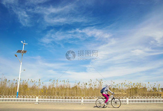 在公路上骑车的女孩图片