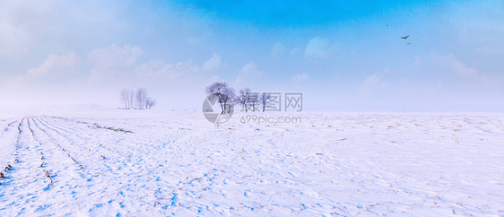 雪地风光图片