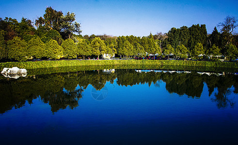 蓝色的石林湖背景图片